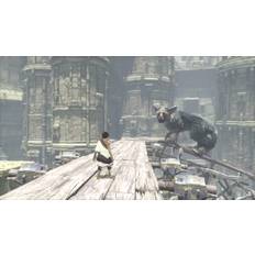 The Last Guardian PS4 Account