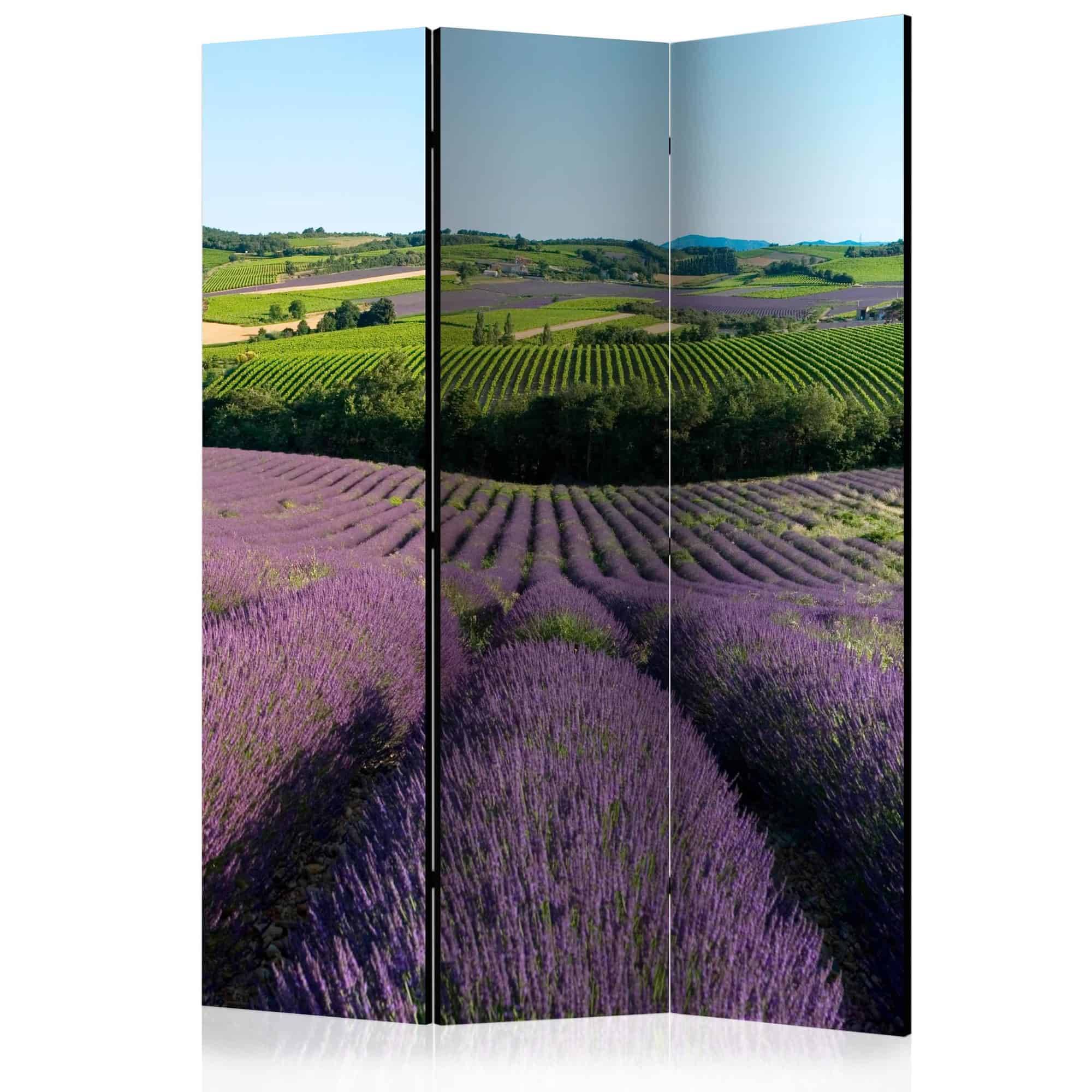 Skærmvæg Lavender fields