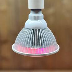 LED - White Beauty 20W, fullspektrum