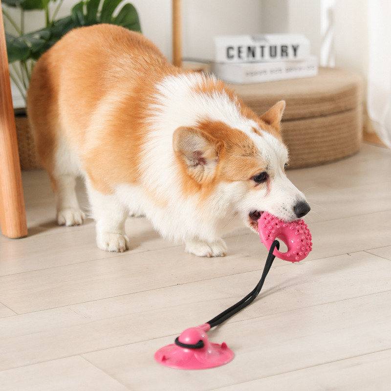 Dog Toys Silicon Suction Cup Tug Interactive Dog Ball Toy for Pet Chew Bite Tooth Cleaning Toothbrush Slow Food Pet Supplies