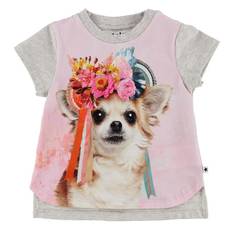 Molo T-shirt - Erin - Chihuahua - Molo - 1 år (80) - T-shirt