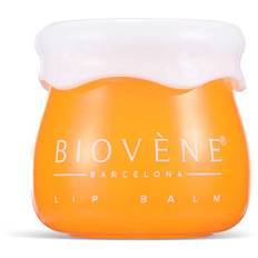 Biovène Lip Care Honey+Ceramide 8 g