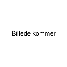 iPad mini (2024) 128GB WiFi/5G - Blue - MXPP3/EU