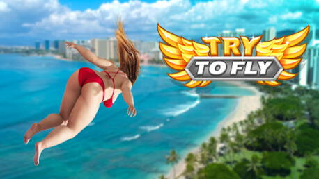 Try to Fly (PC/MAC)