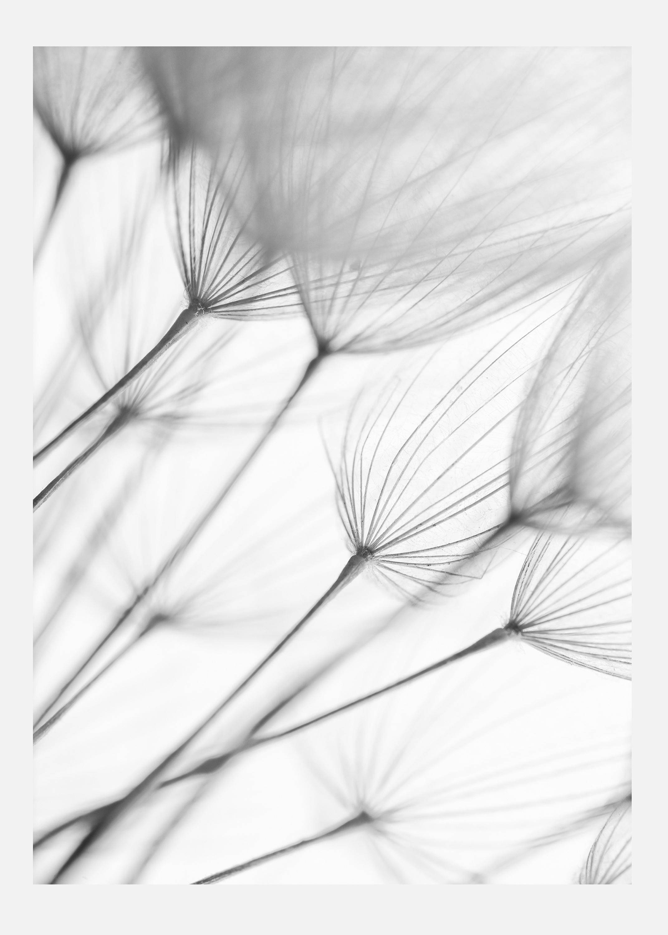 Flowers Canvastavla (100x140 cm)