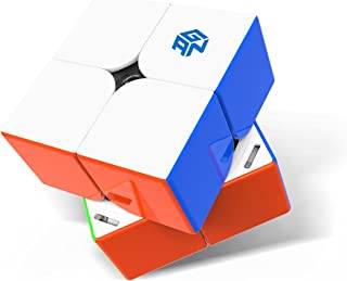GAN 251 M Pro, GAN 2x2 Magnetisk Speedcube Utan Klistermärken GANs 251 Mini Kub 63 Magneter Pussel Leksak för Nybörjare (Frostad Yta, Vit Insida)