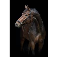 HorseGuard Cryll 25.2 Trense med Aachennæsebånd - Sort