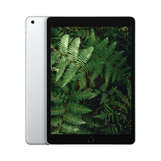 iPad 9 (2021) 10.2" WiFi / 4G