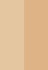 REVOLUTION FAST BASE CONTOUR STICK - Contouring - medium