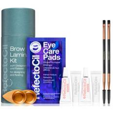 Refectocil brow lamination kit for designing and fixating semi-permanent (dato)