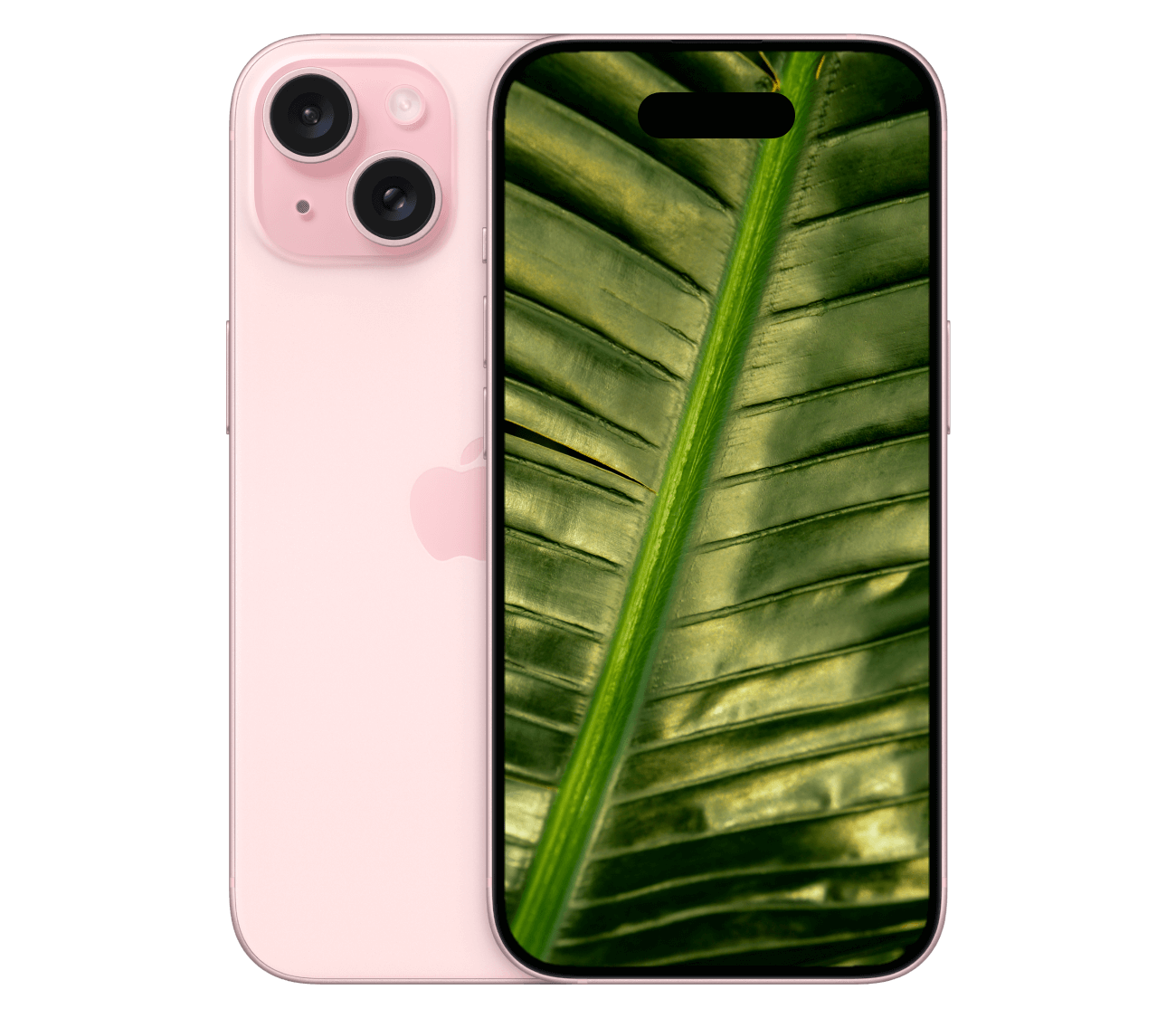 iPhone 15