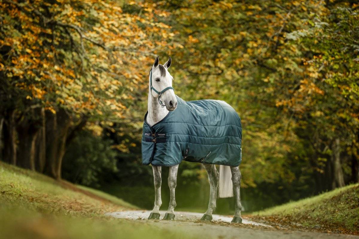 Stalltäcke Amigo Insulator 50g Horseware