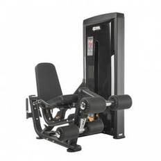 TF Standard WS, Leg Curl, Extension - Type 2
