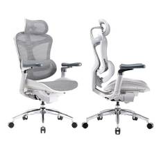SIHOO Doro C300 Pro Ergonomic Office Chair with Ultra Soft 6D Armrests, Dynamic Lumbar Support, Seat Depth Adjustment and Adjustable Backrest Desk Chair for Home Office (White)