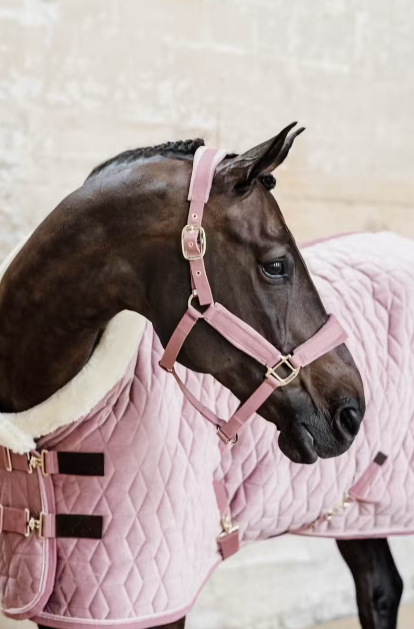 Kentucky Velvet Grime - Old Rose - PONY