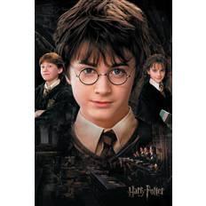 Konsttryck Harry Potter - Hemligheternas Kammare, 26.7 × 40 cm
