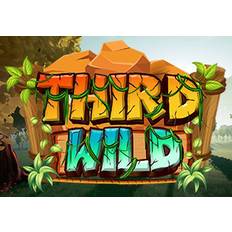 Third Wild Steam CD Key