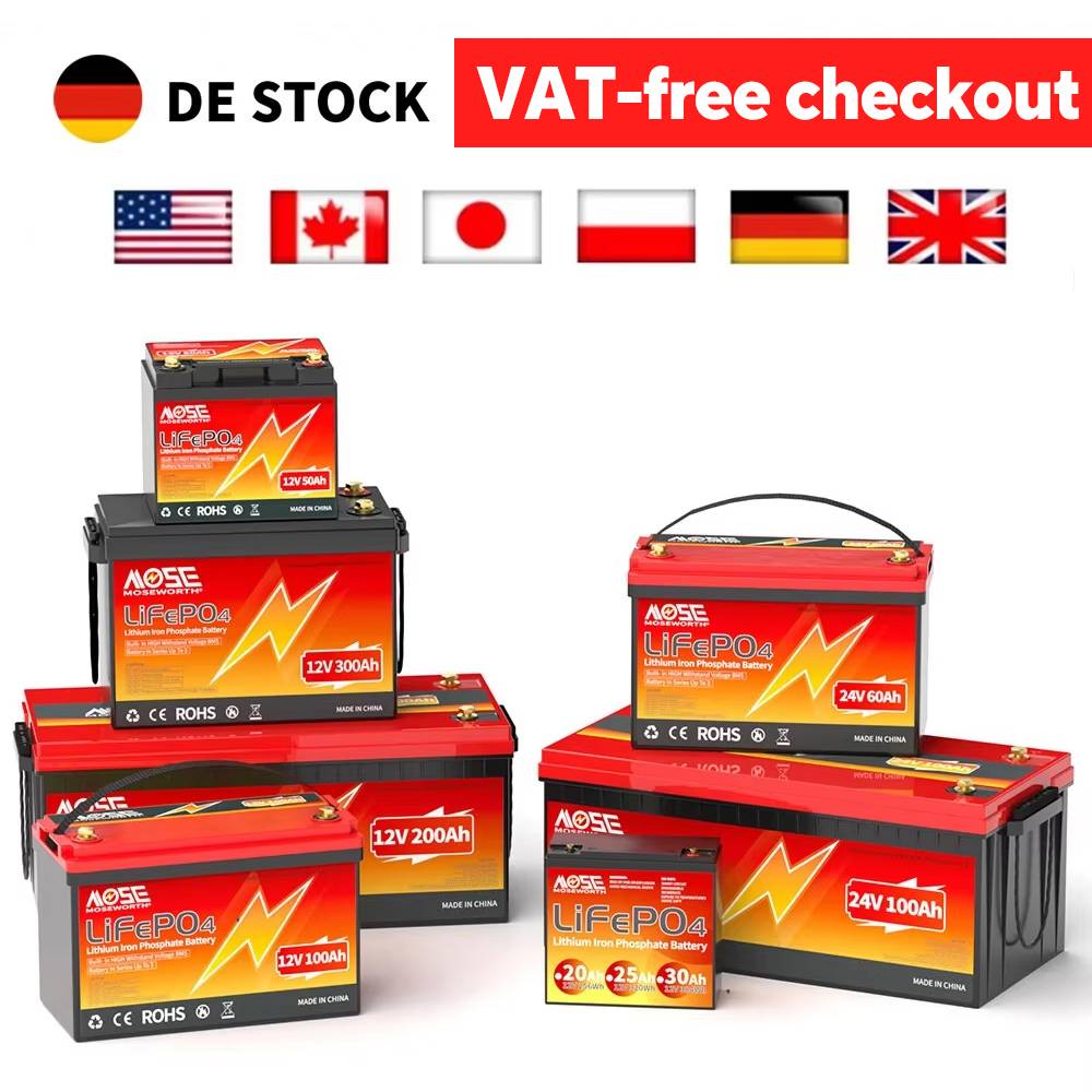 12V 24V 100Ah 140Ah 168Ah 200Ah 300Ah LiFePO4 Deep Cycle Battery Built-in BMS Perfect for RV/Camper Trolling Motor Marine