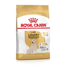 Økonomipakke - Royal Canin hundetørfoder - Labrador Retriever Adult 5+ (2 x 12 kg)