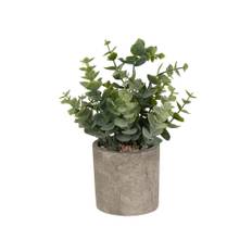 Konstgjord eucalyptus - Höjd 22 cm - Vackra nyanser - Konstgjord krukväxt för ditt hem (0-49 cm)