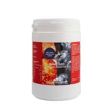 BirkesÃ¸d Xylitol SÃ¸destof 800 g