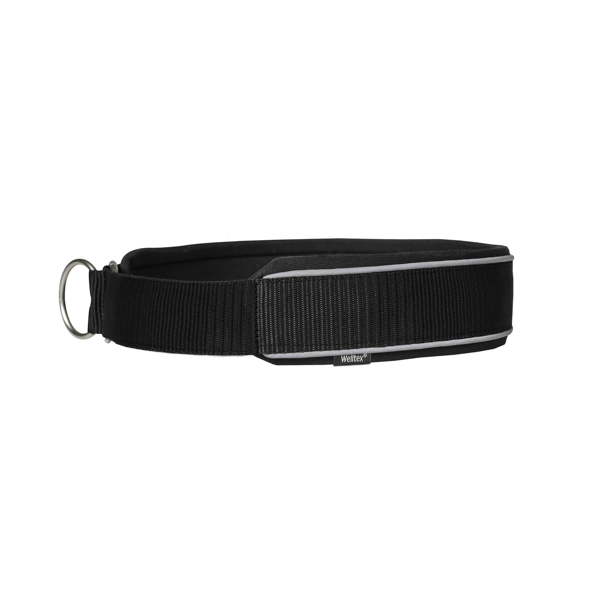 "Charlie" Hundhalsband - Blå / 35