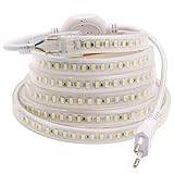 Duvert 230 V LED-ljusband, IP 67 vattentät list, 2835 SMD ränder, mycket ljus LED-belysning, 144 lysdioder/M, med EU-kontakt, för inomhus- och utomhusbruk bröllop jul dekorativt ljus (kall vit, 5 m)