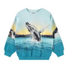Molo Monti Sweatshirt Whale Jump 110 cm  Blå  110 cm  mand