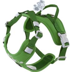 Weekend Warrior Hundsele II ECO - Parsley / 65 - 80 cm