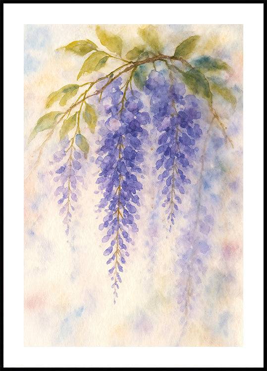 Hanging Wisteria In Soft Pastel Colours Plakat (40x50cm) - Plakater > Botaniske Plakater, Forårsplakater, Naturplakater, Akvarel, BD