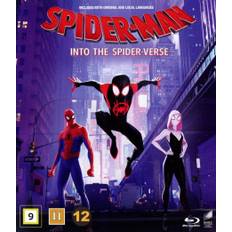 Spider-Man: Into the Spider-Verse (Beg)