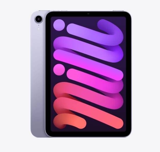 iPad Mini 6 Begagnad Lila 64 GB Premium