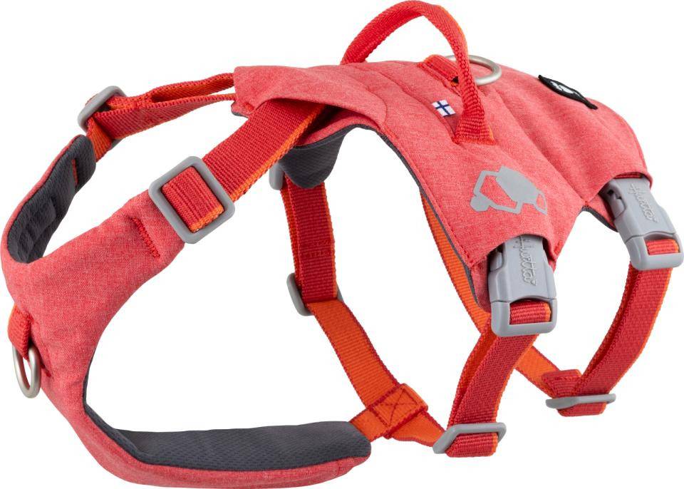 Hundsele ECO Safeguard - M / Strawberry