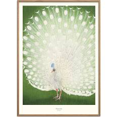 Peacock - 30x40 cm