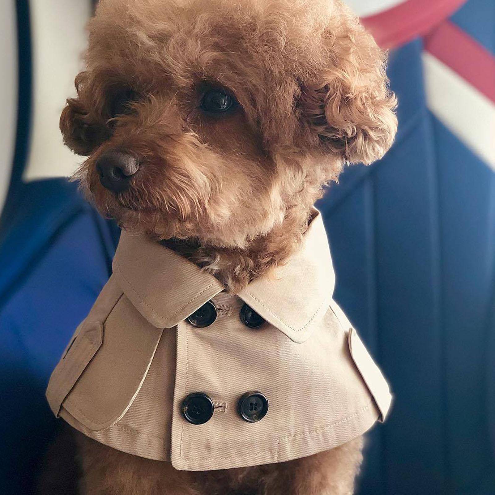 Mode Brittisk Stil Hundkappa Vindjacka Corgi Fransk Bulldog Husdjur Hund Bib Husdjurskläder Kappa Husdjurskostym Trench beige