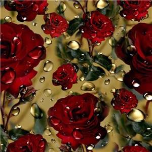 Gold and rose
