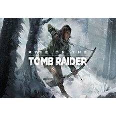 Rise of the Tomb Raider - The Sparrowhawk Pack DLC Steam CD Key