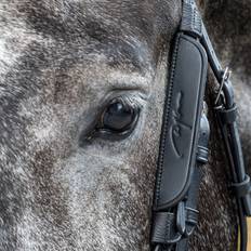 Dyon Fokus Blinkers till sidostycken - Svart - Cob