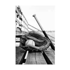 Baseball Essentials Poster (50x70 cm)