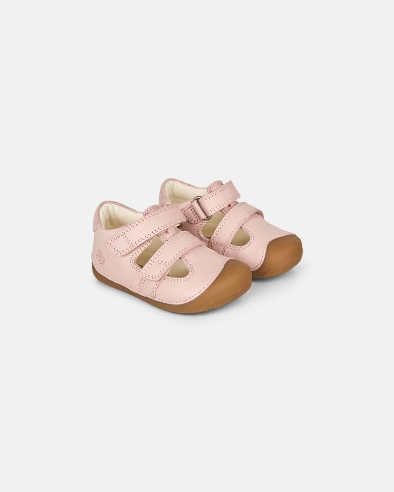 Petit Summer Old Rose - Rosa / 21