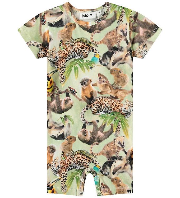 Molo Sommerdragt - Finn - Jungle Cubs - Molo - 74 - Sommerdragt