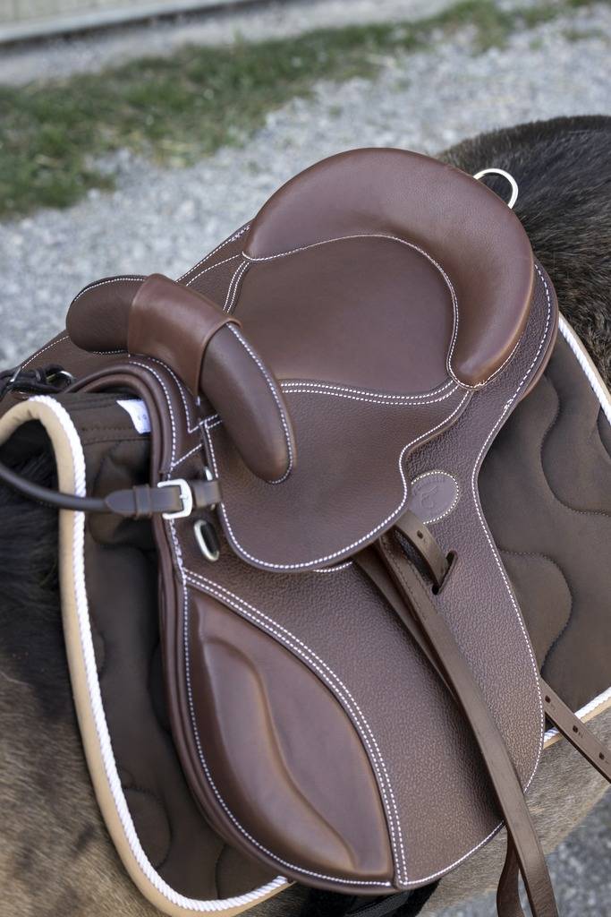 Guy Cantin ponysadel - Sort - 14,5 tommer