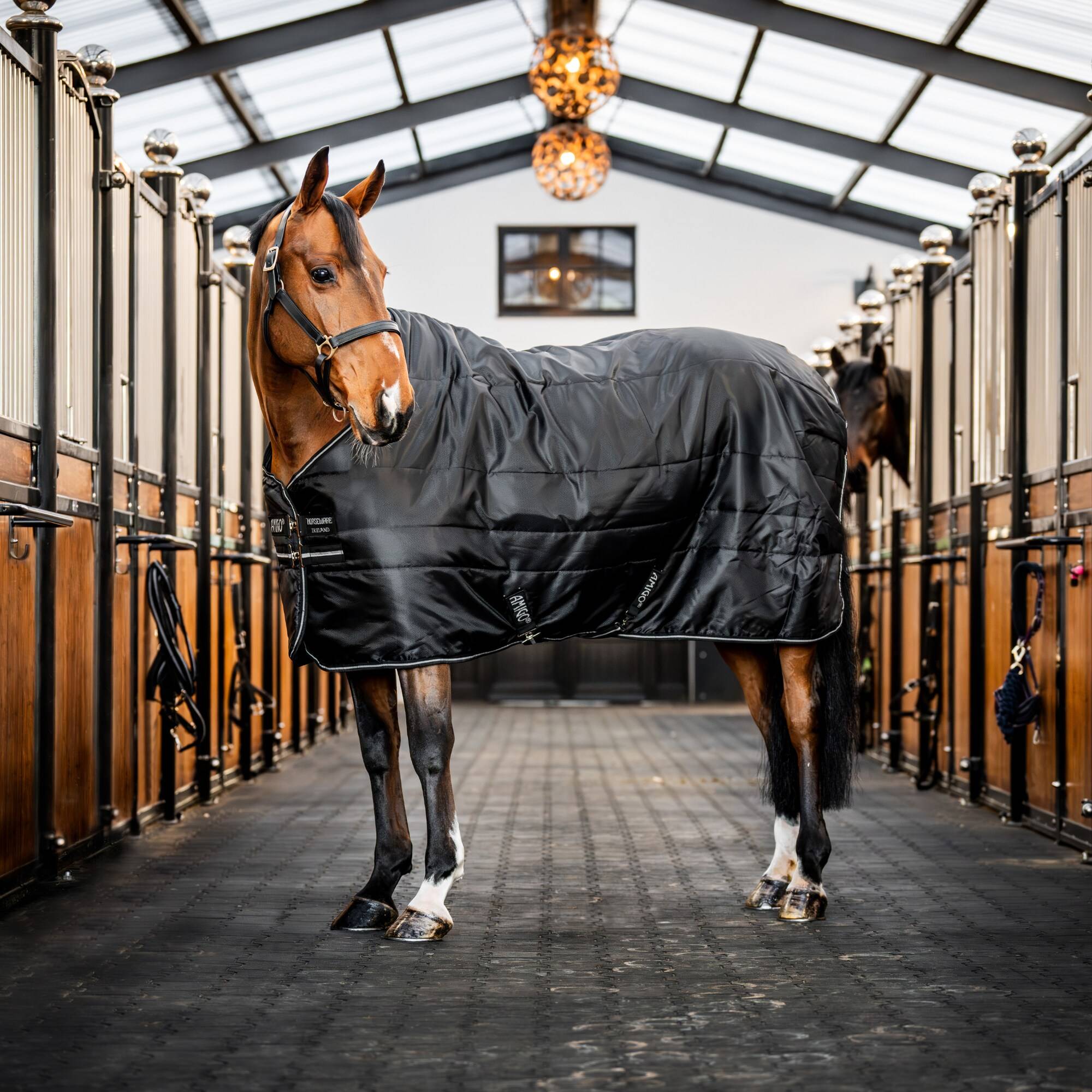 Amigo Ripstop Insulator - 100g - Svart, Horseware
