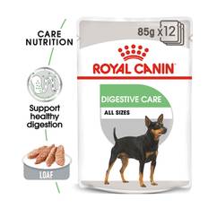 ROYAL CANIN Adult Digestive Care 12x 85g