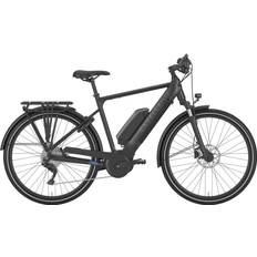 Gazelle Medeo T10 HMB - Matsort