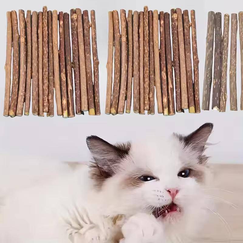 10 st/15 st/20 st Katt-snacks Polygonum Naturlig Polygonum-pinne Tuggpinne Tunn pinne Polygonum Husdjur Smidig
