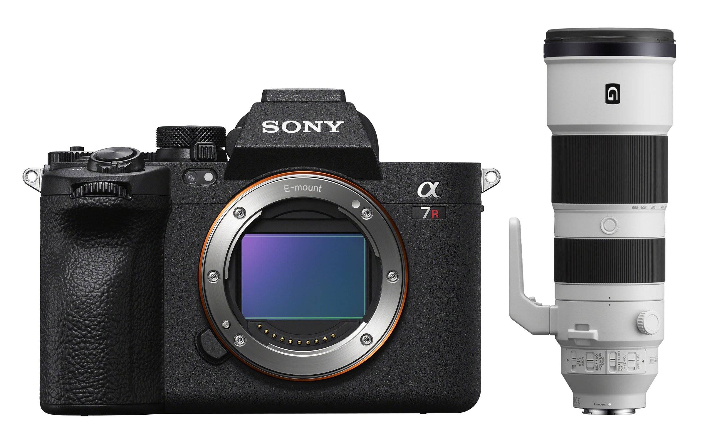 Sony Alpha 7R V (ILCE-7RM5) + SEL 200-600mm f/5.6-6.3 G OSS