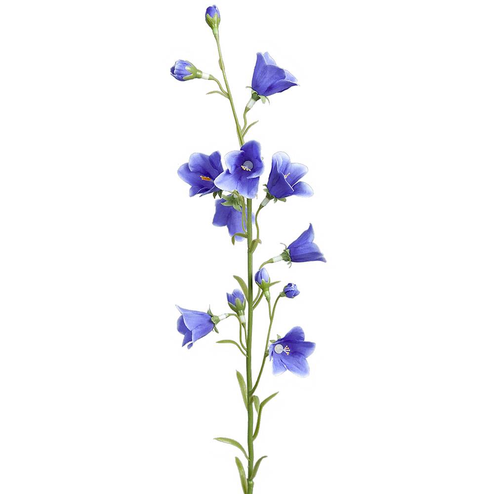 Blåklocka Blå - 65 cm