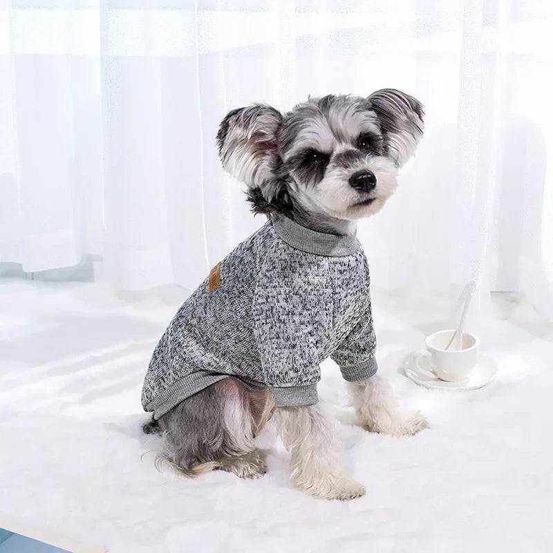 Winter Pet Jacket - Warm Coat for Dogs and Cats - Gray / L (L)
