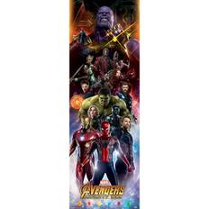 Avengers Infinity War Characters Door Poster